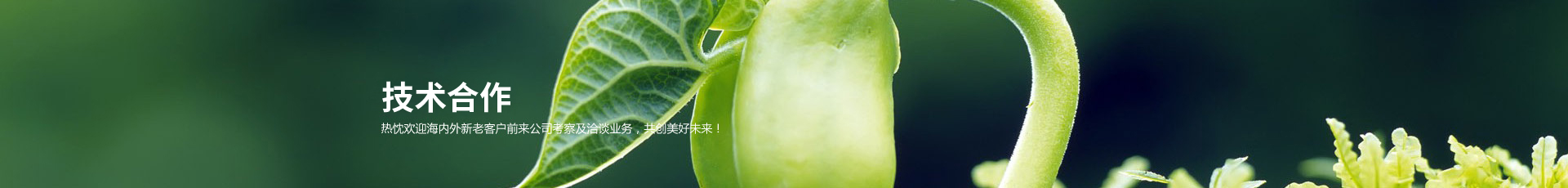 技術(shù)合作
